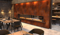 Thumbnail for Flex 140DB.BX2 Double Sided Fireplace Insert